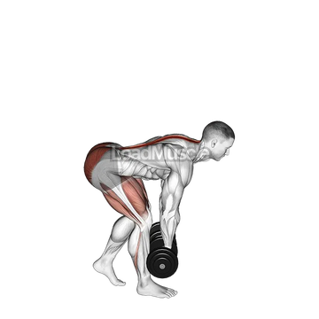 Dumbbell Staggered Stance Romanian Deadlift