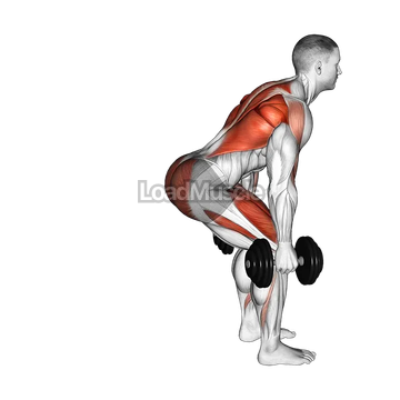 Dumbbell Step Back Lunge and Row