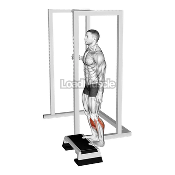 Elevated Standing Calf Raise
