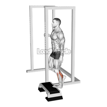 Elevated Standing Single Leg Calf Raise