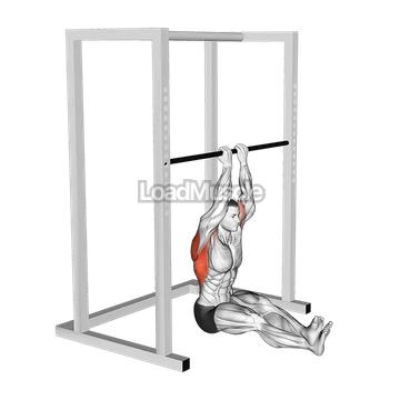 Narrow Seated Chin up