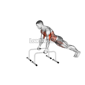 Push up and Triceps Dip on Parallel Bars