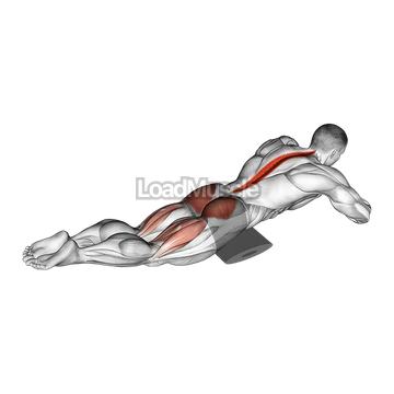 Reverse Back Extension on Floor