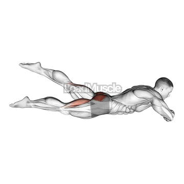 Reverse Flutter Kick on Floor (hand under head)