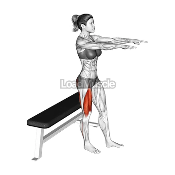Single Leg Bench Squat