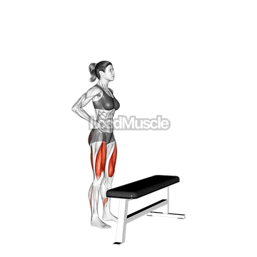 Single Leg Step Up on Bench