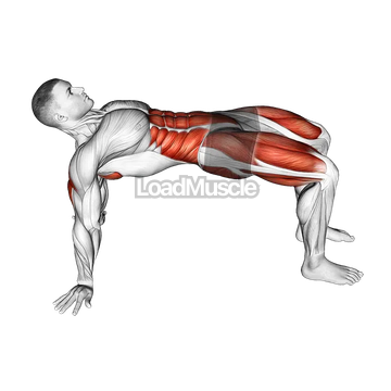 Table Top Bridge Rotation
