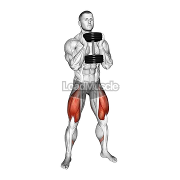 Dumbbell Goblet 2 sec Hold Squat