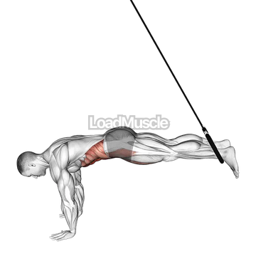 Ring Reverse Ab Rollout