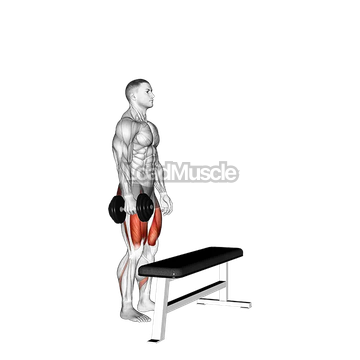 Dumbbell Single Leg Step-Up on Bench