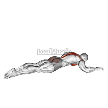 Superman Chest Stretch