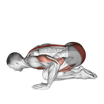 Push-up in Child Pose