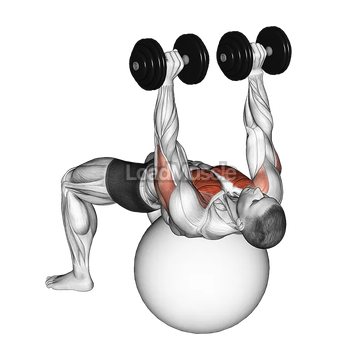 Dumbbell Alternate Chest Press on Stability Ball