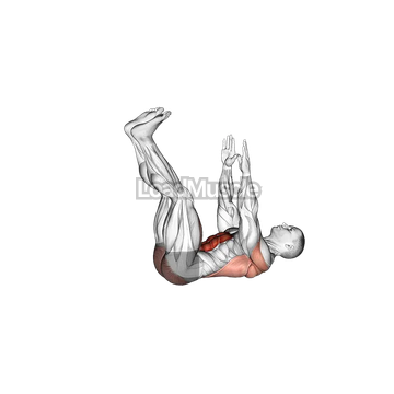 Straight Leg Dead Bug