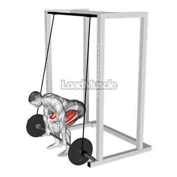 Barbell Band Assisted Deadlift