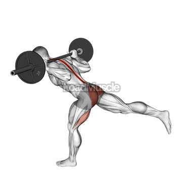 Barbell Single Leg Good Morning