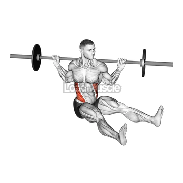 Barbell Sitting on Floor Oblique Twist