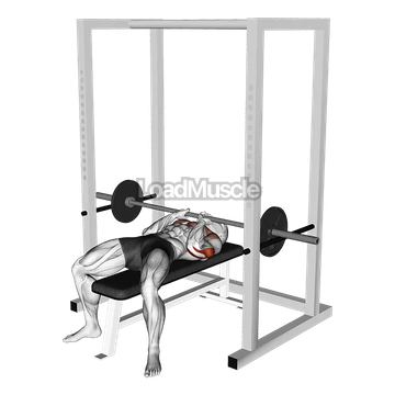 Barbell Pin Close Grip Bench Press