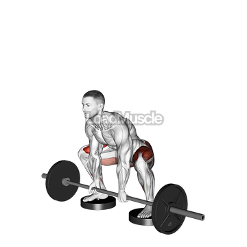 Barbell Sumo Deadlift from Deficit