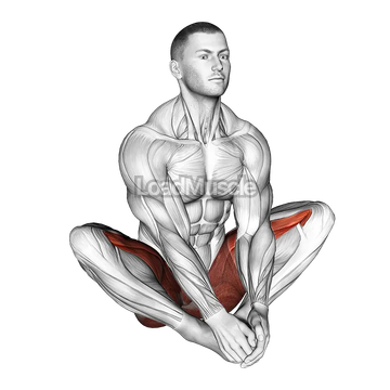 Butterfly Yoga Flaps