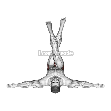 Lying Criss Cross Legs