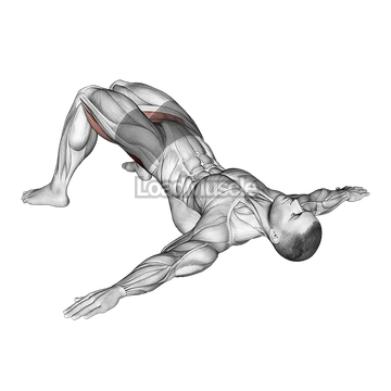 Bridge Hip Abduction