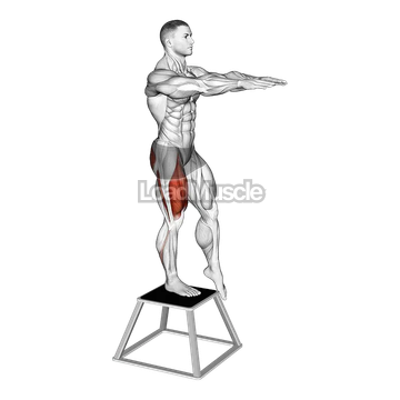 Elevated Single Leg Squat