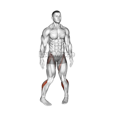 Standing Calf Raise Circle