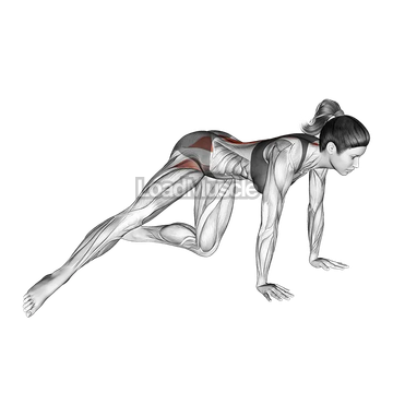 Kneeling Straight Leg Side Kick