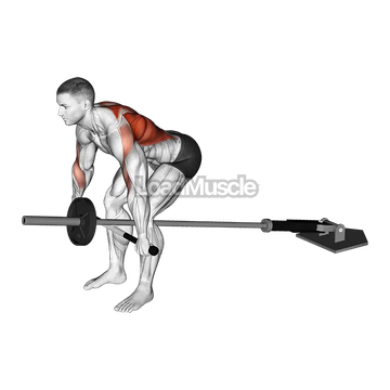 Lever Bent over Wide Row (plate loaded)