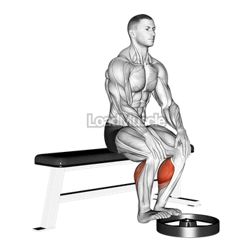 Elevated Seated Calf Raise
