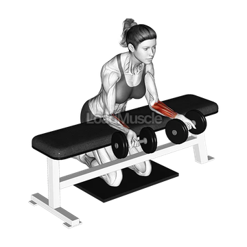 Dumbbell Over Bench Reverse Wrist Curl with Mat