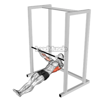 Inverted Wide to Narrow Row