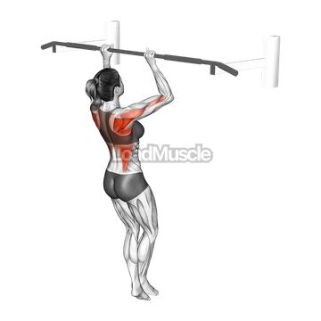 Narrow Top Half Pull-up