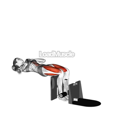 Reverse Leg Extension