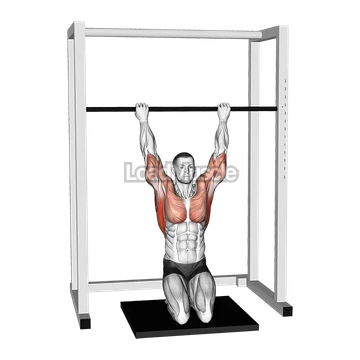 Kneeling Assisted Sliding Chin-up