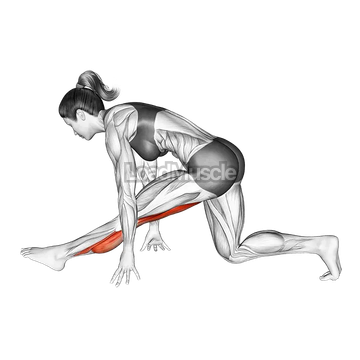 Single Leg Calve Stretch
