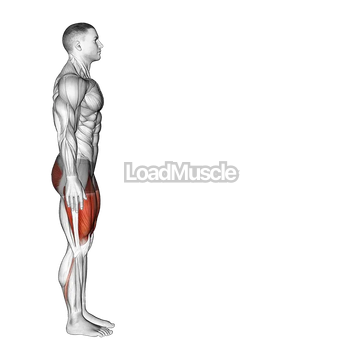 Bodyweight Forward Lunge (Hinge at Hips)