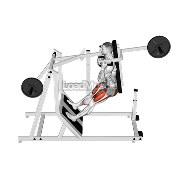 Lever Pendulum Squat (plate loaded)