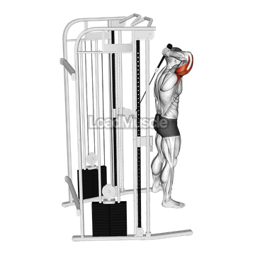 Cable Overhead Single Arm Triceps Extension (rope attachment)