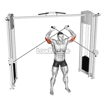 Cable High Triceps Extension