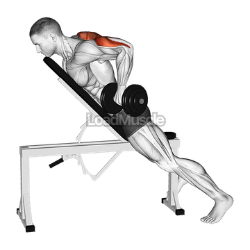 Dumbbell Prone Triceps Kickback
