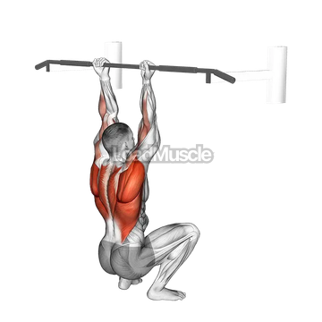 Assisted Chin-up (squat position)