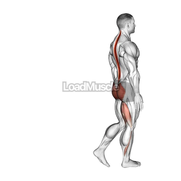 Bodyweight Single Leg RDL