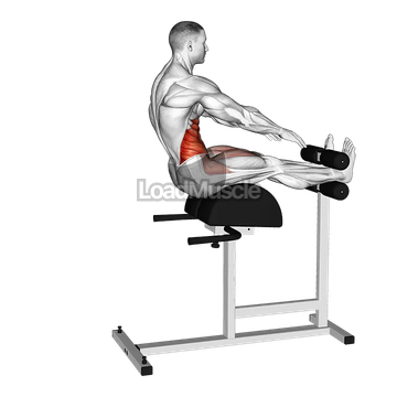 Decline Sit-up and Russian Twist