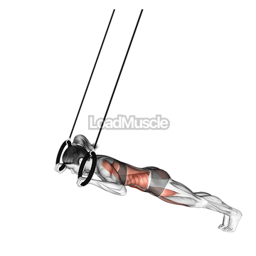 Ring Alternate Superman