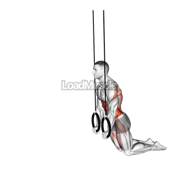 Ring Kneeling Ab RollOut