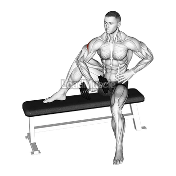 Dumbbell Seated External Shoulder Rotation