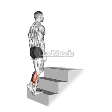 Standing Single Leg Calf Raise (On a staircase)