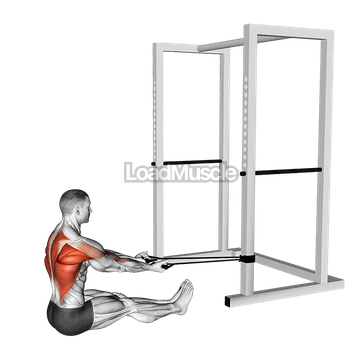 Band Seated Underhand Grip Row